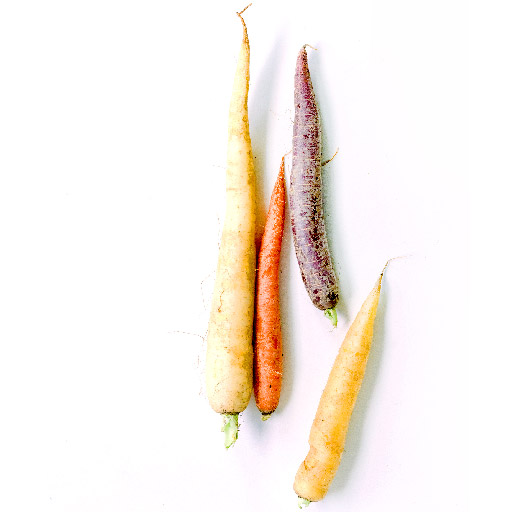 Cavendish Bananas